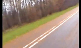 Sultry Nicky gladly takes a hard love stick in her tang