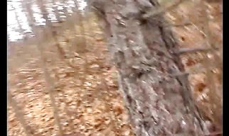 Sultry Nicky gladly takes a hard love stick in her tang