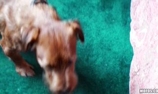 Alluring girlfriend Kaylee Quinn receives a big sausage in her juicy pussy